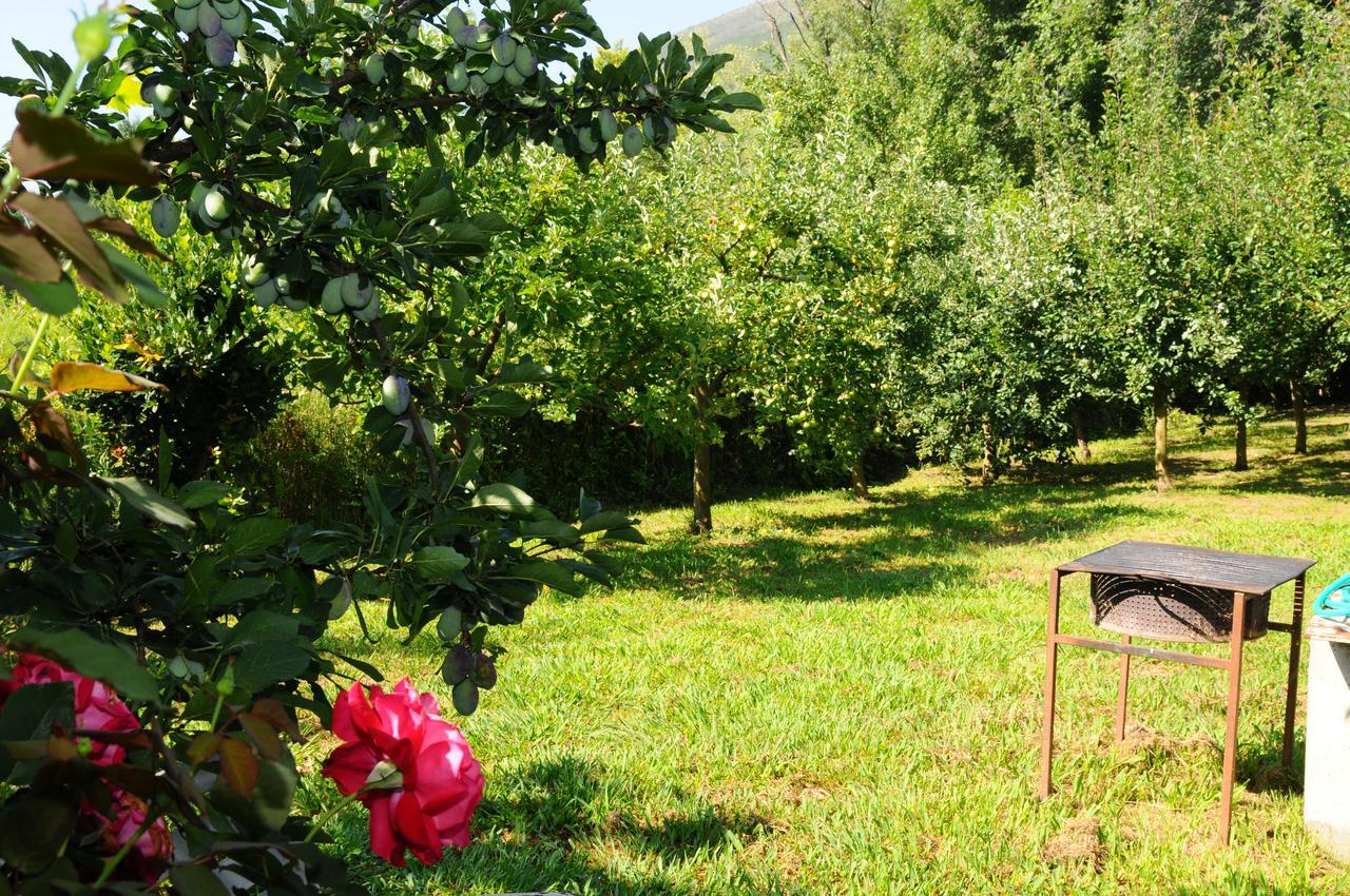Guest House Markovic Budva Dış mekan fotoğraf